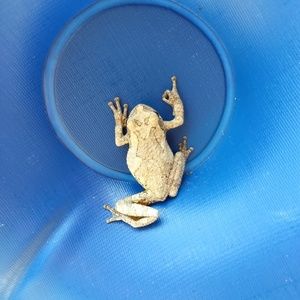 Meet your Posher, Christi